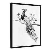 Perching Peacock 21.73" x 31.73" Black Framed Canvas