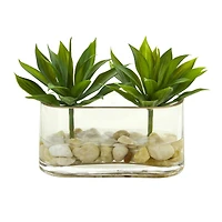 6.5" Mini Agave Succulent Arrangement in Glass Vase