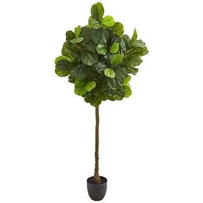 6ft. Potted Fiddle Leaf Tree