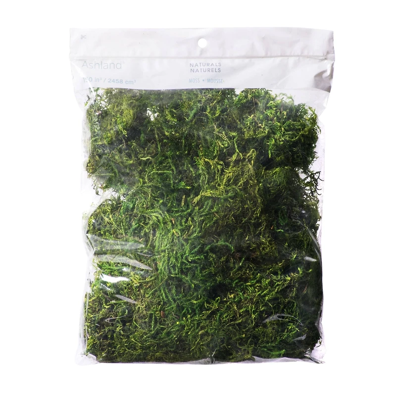 12 Pack: Preserved Forest Moss by Ashland®