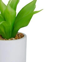 8" Green Aloe Plant in White Pot