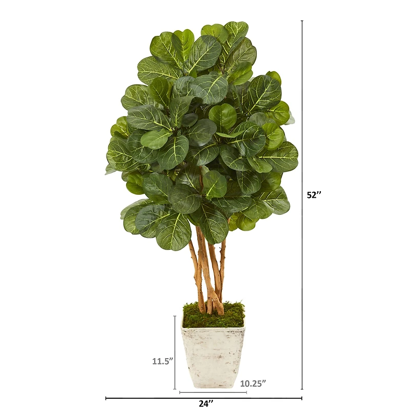 4.3ft. Fiddle Leaf Fig Tree in Country White Planter