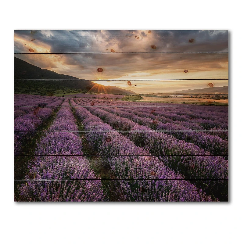 Designart - Sunrise & Dramatic Clouds Over Lavender Field VI