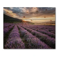 Designart - Sunrise & Dramatic Clouds Over Lavender Field VI
