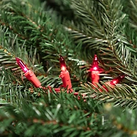 50ct Pink Mini Valentine's Day Light Set 10ft Wire