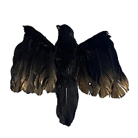 6" Black Flying Crow by Ashland®