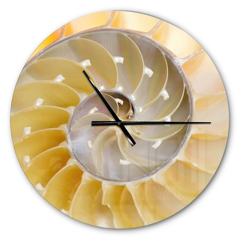 Designart Isolated Nautilus Shell Modern Wall Clock