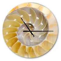 Designart Isolated Nautilus Shell Modern Wall Clock