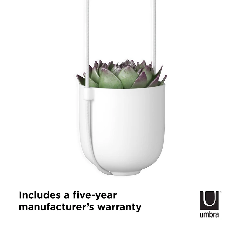 Umbra White Bolo Hanging Planter