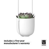 Umbra White Bolo Hanging Planter