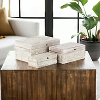 White Mango Wood Natural Box Set, 8", 10" & 12"