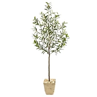 6ft. Olive Artificial Tree in Country White Planter