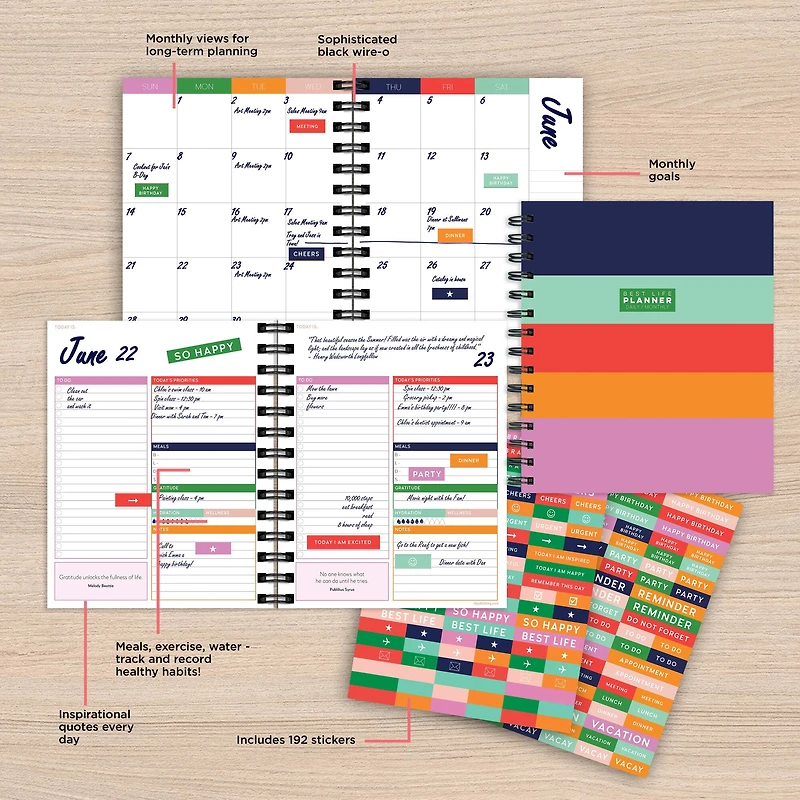 Striped Daily Monthly Luxe Planner