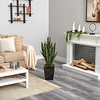 3ft. Snake Plant in Black Metal Planter