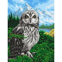 Crafting Spark Spring Owl Painting by Numbers Kit