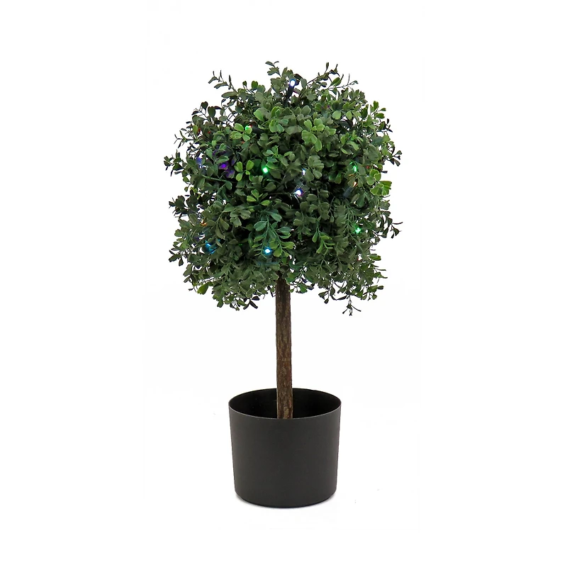 2ft. Boxwood Single Ball Topiary With Multi-Function LED Lights