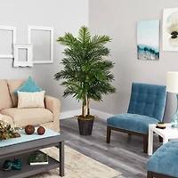 6ft. Areca Palm Tree in Metal Pail with Rope