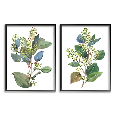 Stupell Industries Soft Eucalyptus Plant Blue Green Ombre Leaves Framed Wall Art