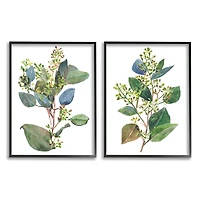 Stupell Industries Soft Eucalyptus Plant Blue Green Ombre Leaves Framed Wall Art