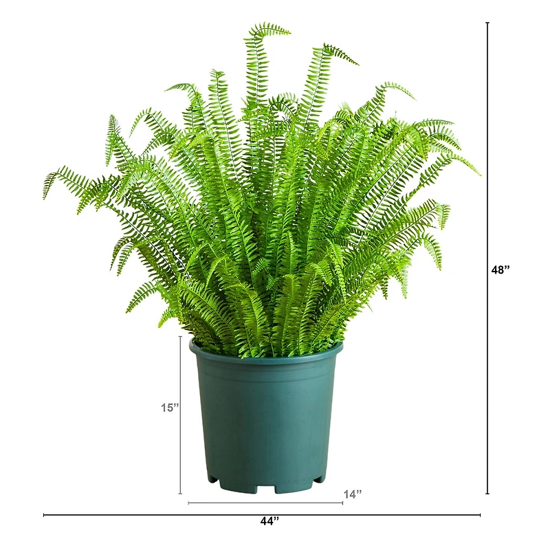 4ft. UV Resistant Artificial Boston Fern Plant with Real Touch Leaves (Indoor/Outdoor)