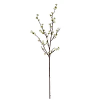 40" Cream Blossom Stem by Ashland®