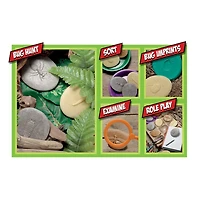 Yellow Door Let's Investigate Bugs Stone Set