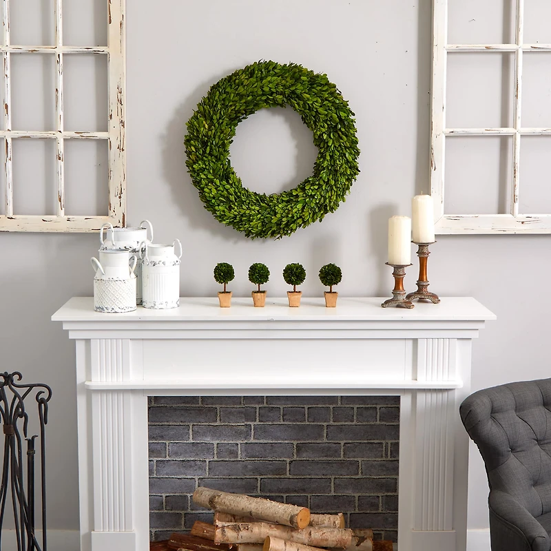 24" Green Preserved Boxwood Wreath