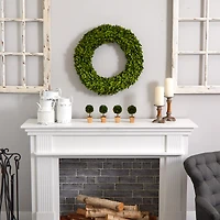 24" Green Preserved Boxwood Wreath