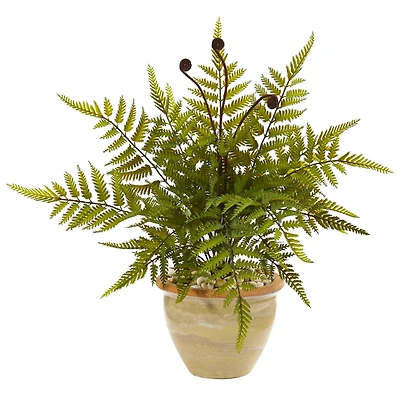 18" Fern in Ceramic Planter