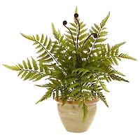18" Fern in Ceramic Planter