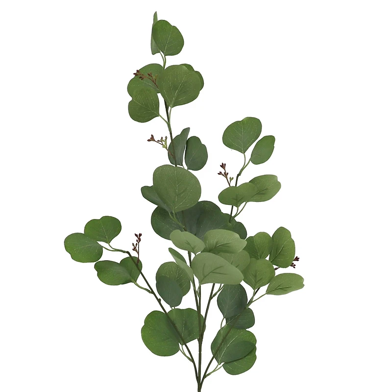 36" Seeded Eucalyptus Stem by Ashland®