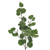 36" Seeded Eucalyptus Stem by Ashland®