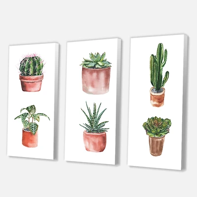 Designart - Flowers In A Pot Cacti and Succulents