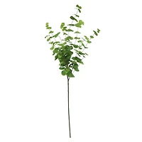 56" Green Eucalyptus Oversized Stem by Ashland®