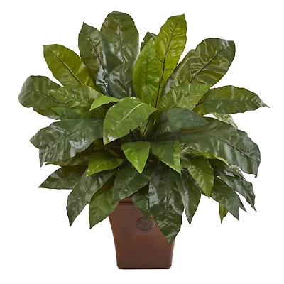 2.5ft. Birds Nest Fern in Brown Planter