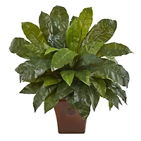 2.5ft. Birds Nest Fern in Brown Planter