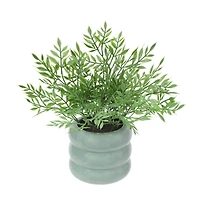 9.5" Mini Ficus in Green Bubble Pot by Ashland®