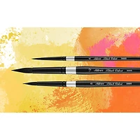 Silver Brush Limited Black Velvet® Susan Louise Moyer 3 Piece Basic Brush Set