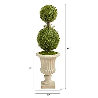 4ft. Double Boxwood Topiary Tree in Sand Finished Urn