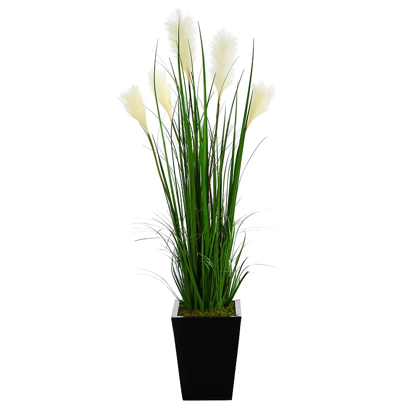 4.5ft. Wheat Plume Grass Plant in Black Metal Planter