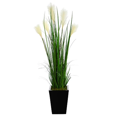 4.5ft. Wheat Plume Grass Plant in Black Metal Planter