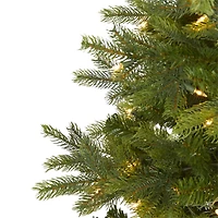 4ft. Pre-Lit North Carolina Spruce Artificial Christmas Tree, Clear LED Lights