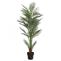 5.25ft. Potted Areca Palm Tree