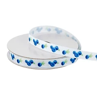 3/8" x 2yd. Fruit Value Pack Ribbon by Celebrate It®