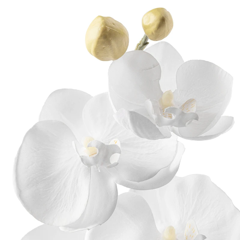 16 Pack: White Moth Orchid Stem by Ashland®