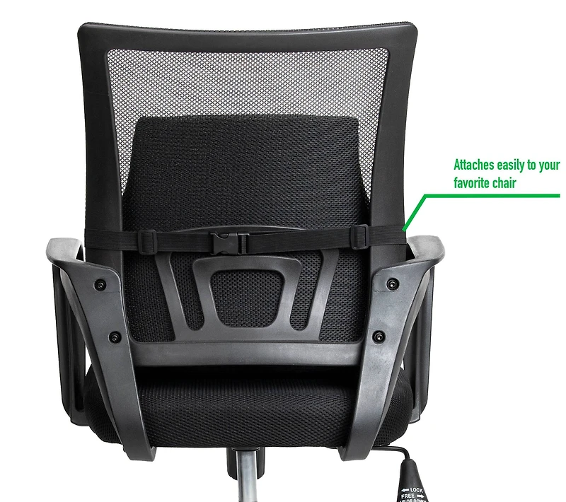 Mind Reader Teal & Black Ergonomic Back Cushion