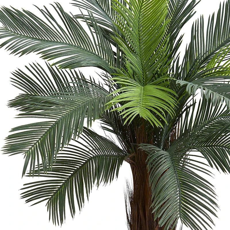 4.5ft. Cycas Tree in Oval Planter
