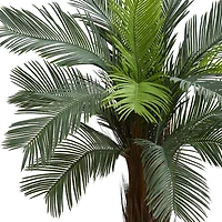 4.5ft. Cycas Tree in Oval Planter