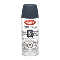 Krylon® Chalky Finish 12oz. Anvil Gray Spray Paint