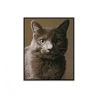 Diamond Dotz® Intermediate Smokey Pre-Framed Diamond Painting Kit 